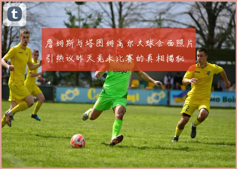 詹姆斯与塔图姆高尔夫球会面照片引热议昨天竟未比赛的真相揭秘
