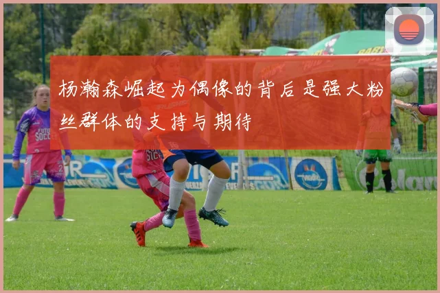 杨瀚森崛起为偶像的背后是强大粉丝群体的支持与期待